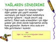 Yağların Sindirimi Nedir ve Nasıl Yapılır?